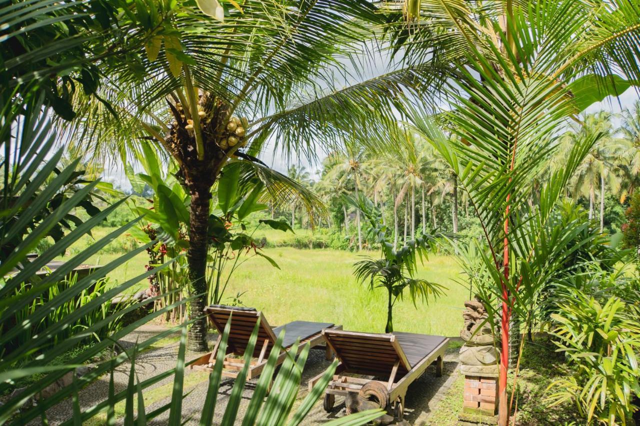 Mancur Guesthouse Ubud  Exterior photo