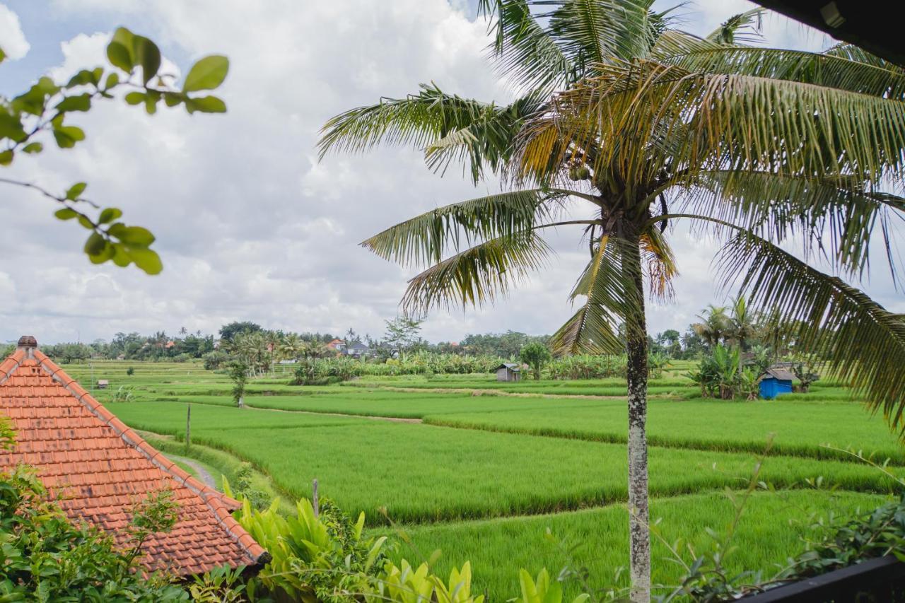 Mancur Guesthouse Ubud  Exterior photo