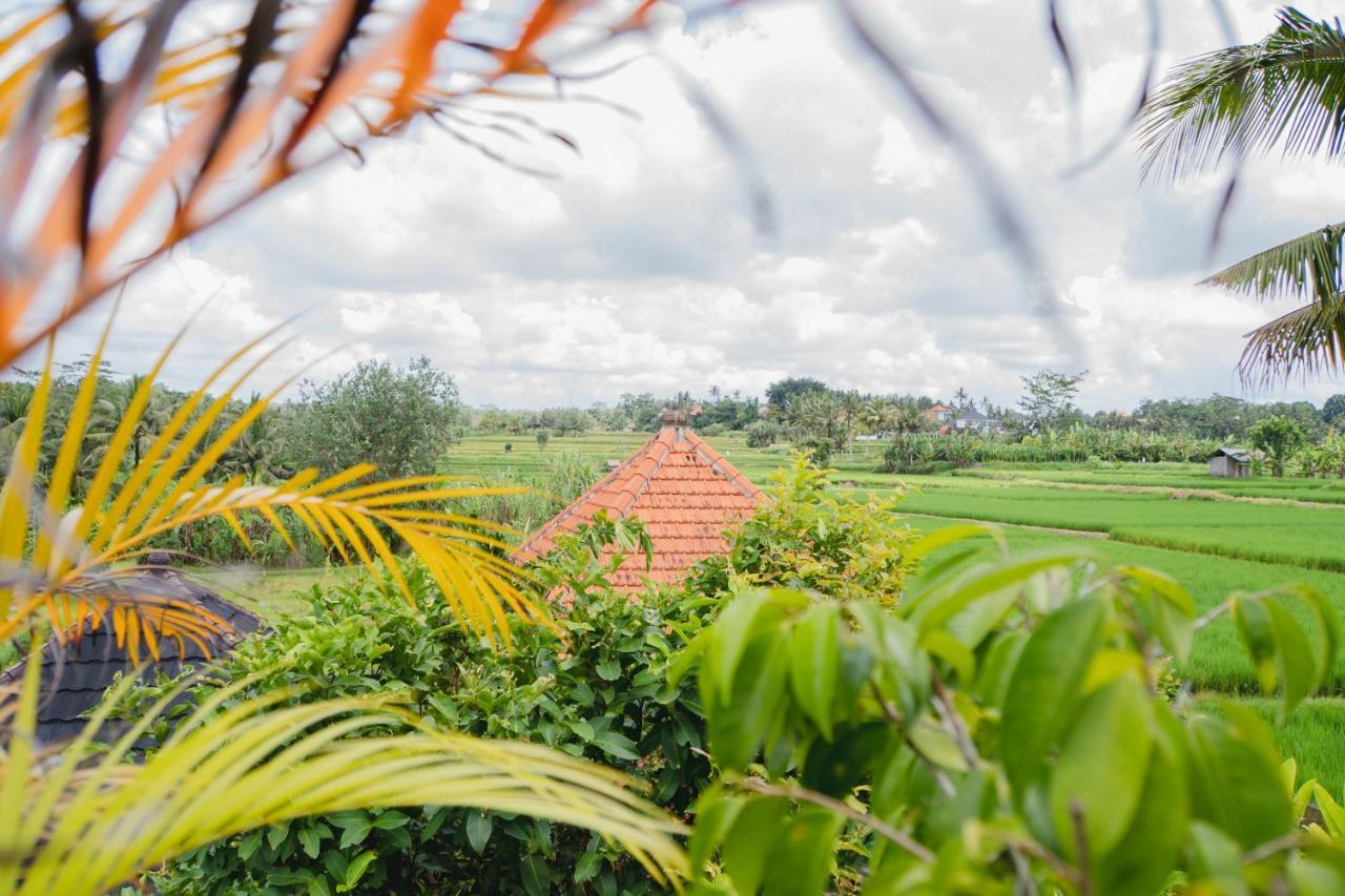 Mancur Guesthouse Ubud  Exterior photo