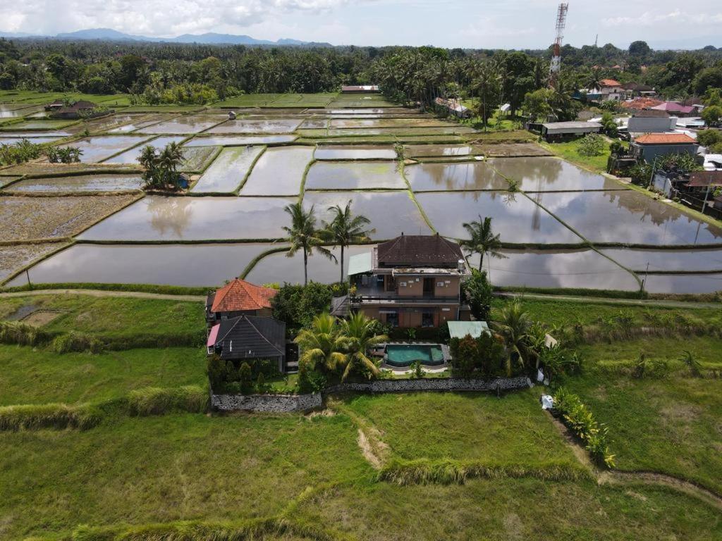 Mancur Guesthouse Ubud  Exterior photo