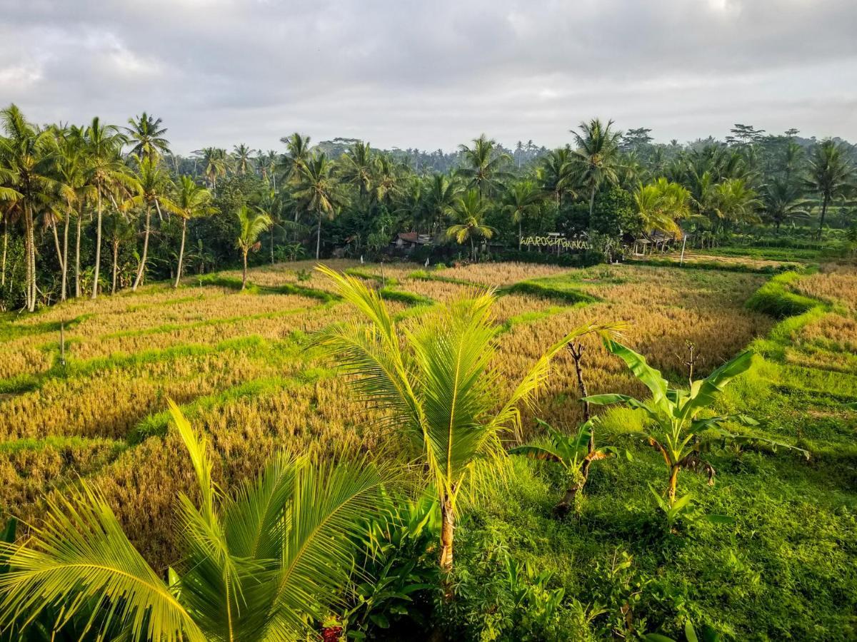 Mancur Guesthouse Ubud  Exterior photo