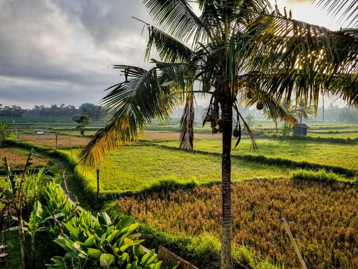 Mancur Guesthouse Ubud  Exterior photo