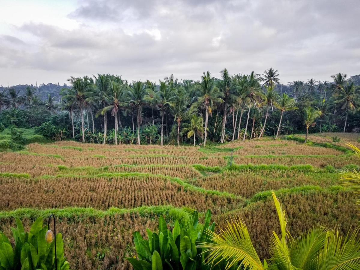 Mancur Guesthouse Ubud  Exterior photo